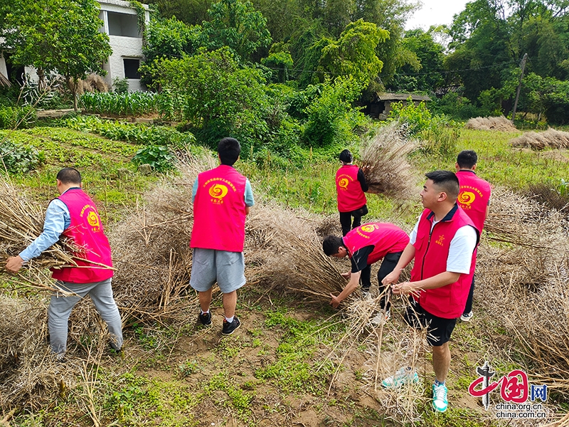 退役不褪色 自貢市大安區新民鎮退役軍人積極投身秸稈離田行動