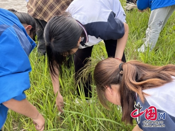 綠色低碳，美麗中國 綿陽市梓潼縣觀義中學(xué)開展“全國低碳日”宣傳教育活動(dòng)