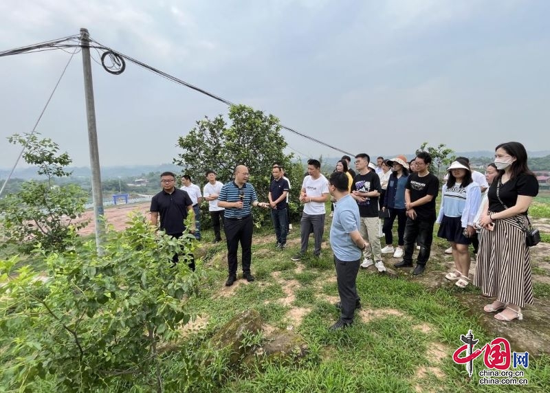 宜宾市翠屏区金秋湖镇组织开展干部能力提升外出学习调研