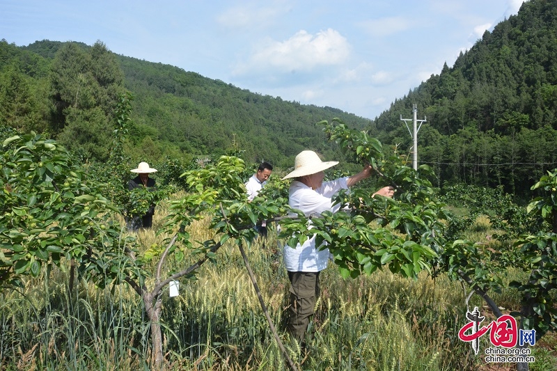 廣元市總工會精準施策助力幫扶村村民增收致富