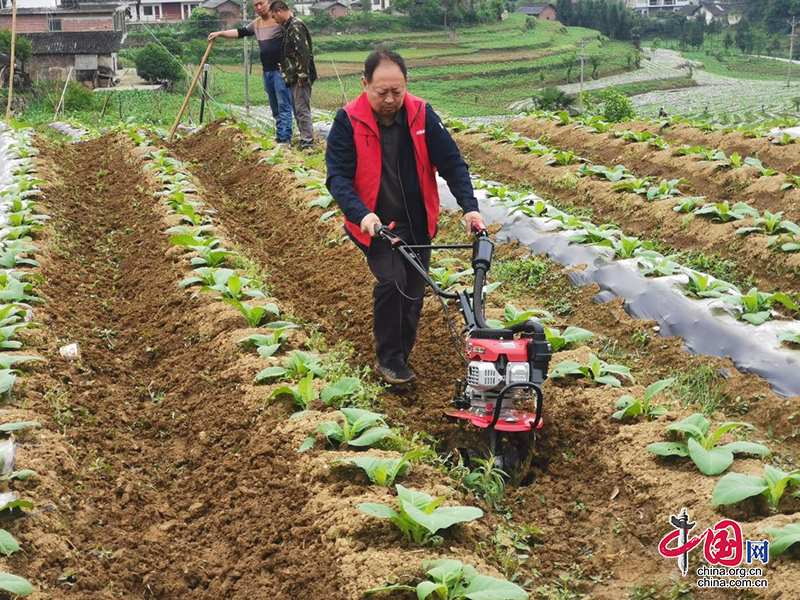 敘永縣觀興煙點(diǎn)開(kāi)展烤煙大田管理現(xiàn)場(chǎng)培訓(xùn)會(huì)