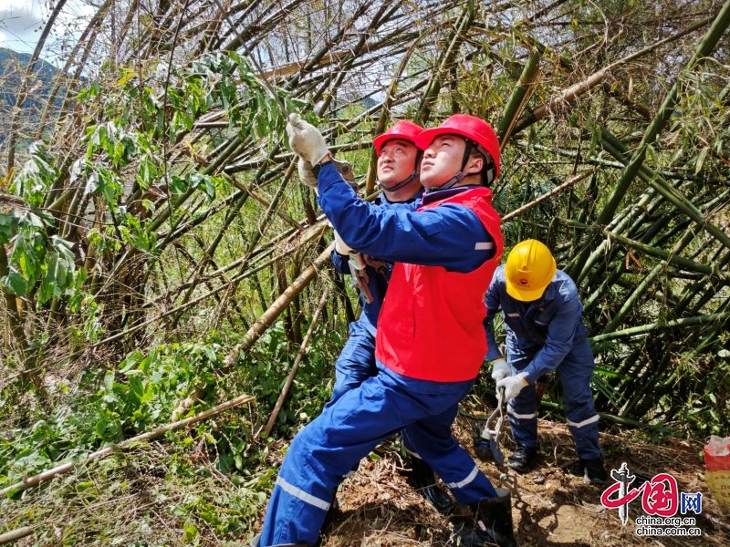 四川能投筠连电力团支部及两名青年职工被共青团筠连县委授予荣誉称号 