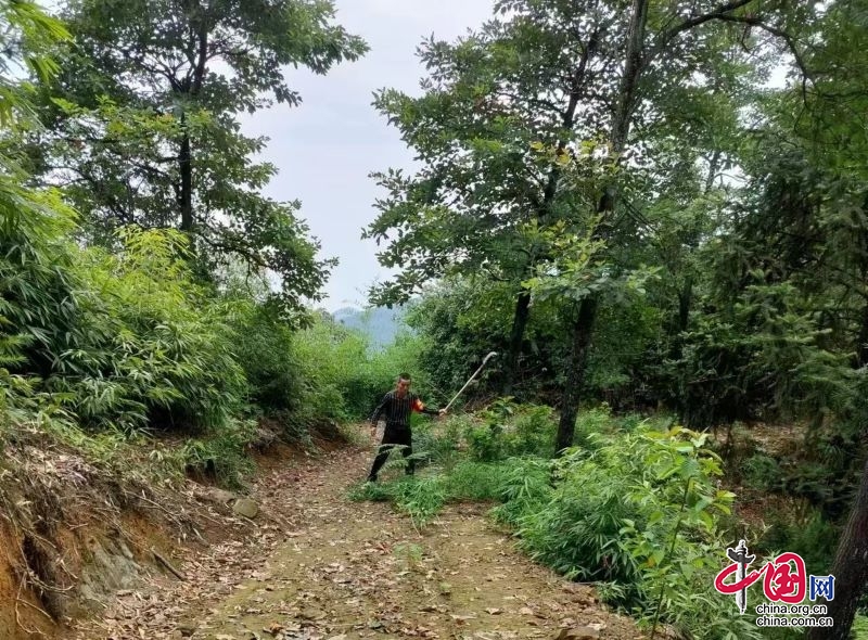 第三届“最美森林草原守护员”宜宾市候选人——记筠连县国有林场杨厅柱