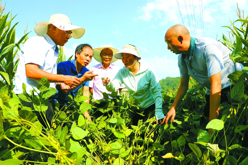 四川南充西充：厚植成長沃土 讓人才各展所長