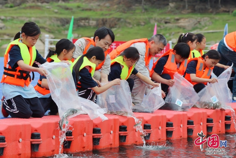 440萬(wàn)尾！大唐亭子口連續(xù)11年助力魚(yú)寶寶回家