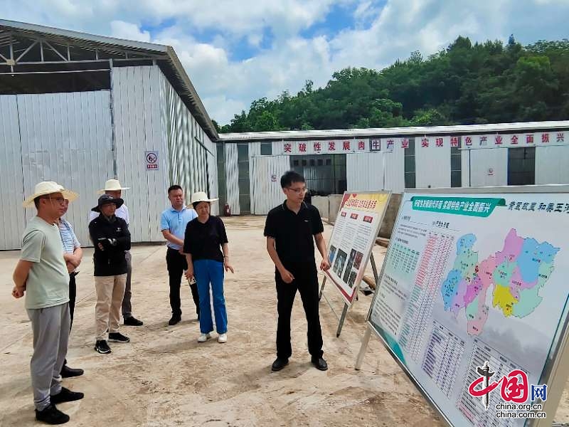 四川省農村能源發展中心邱永洪調研劍閣縣王河鎮秸稈綜合利用情況