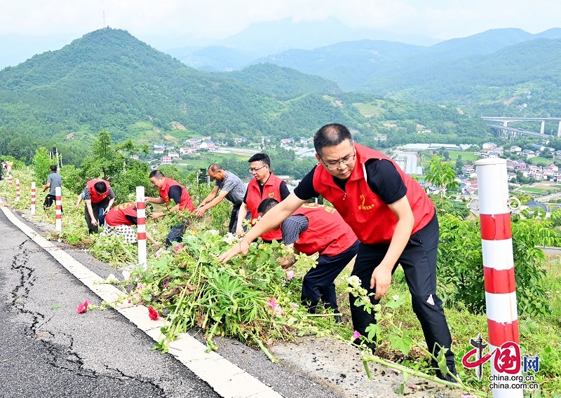 廣元市朝天區：村美民富產業興 振興圖景撲面來