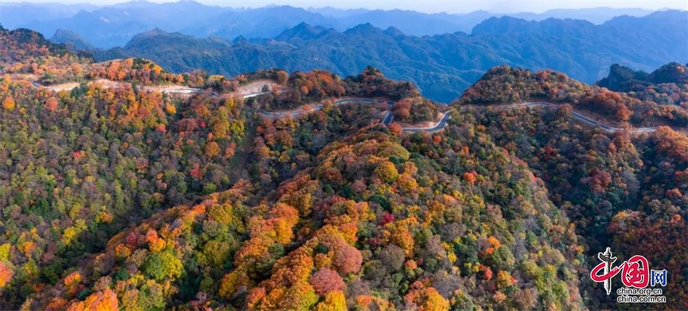 Wangcang verde, habitante y pro?spera