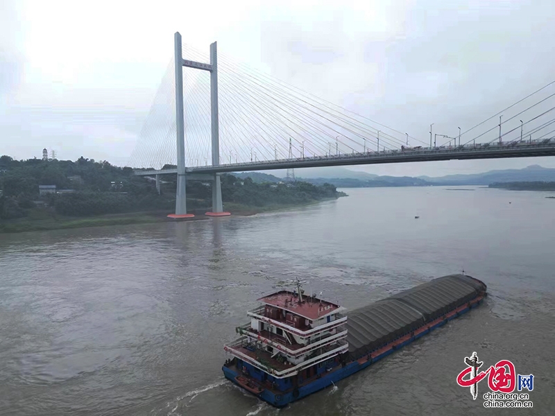 洪峰來襲前 長江納溪段又一跨江大橋橋墩穿上“安全防護衣”
