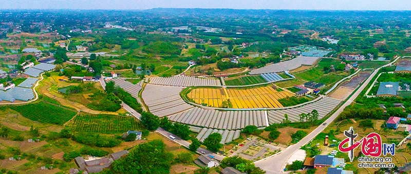 自貢市貢井區提灌站建設助力農業灌溉 惠及數十萬畝農田