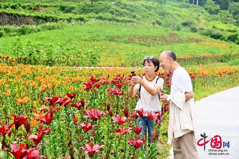 廣元市朝天區：文旅融合迸發新活力