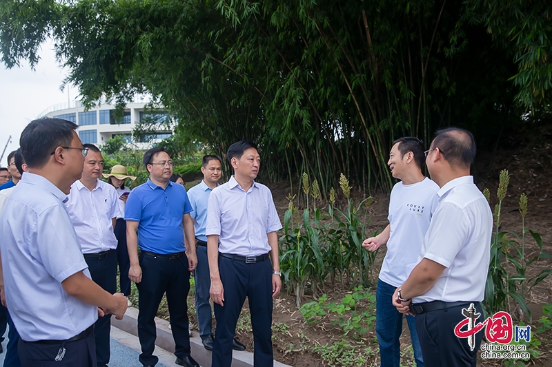 自贡市富顺县委书记杨斌调研宜居宜业和美乡村建设及防汛减灾工作