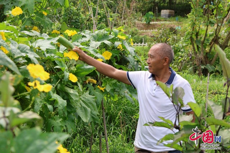 宜宾翠屏：盘活闲置资源 荒地巧变“开心农场”