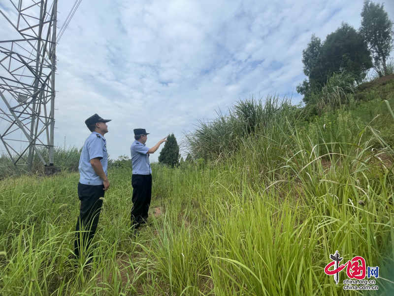 遂寧經開公安多措并舉筑牢轄區森林防火底線