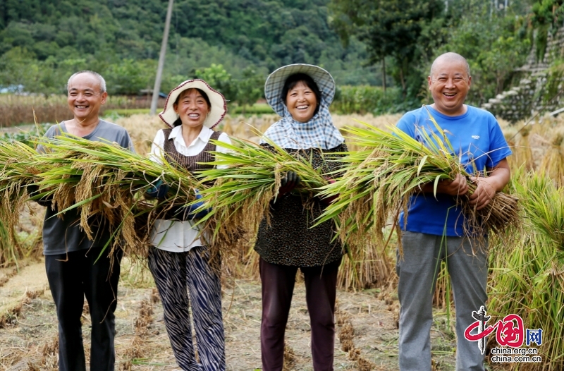 綿陽平武：食糧安全の「バラスト石」を築き、大衆の「食糧袋」を守る