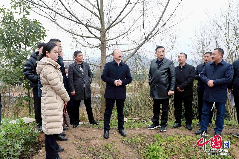 岳池县县委书记遭了图片